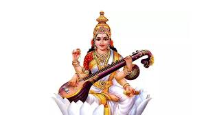 Sharada Puja at Napoklu Cooperative Women's Society